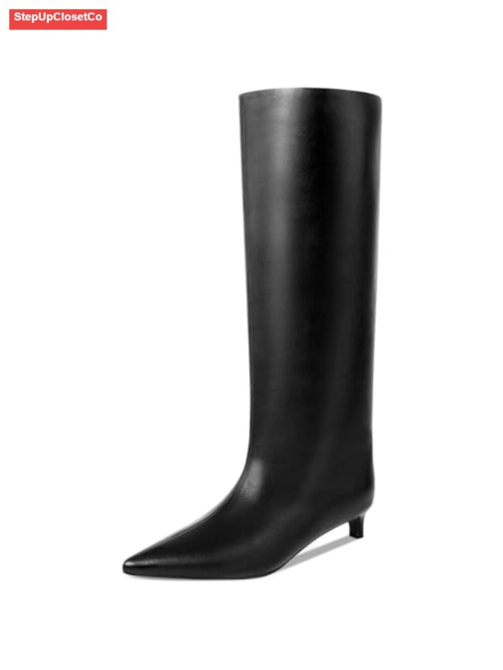 Kitten Heel Knee High Boots Faux Leather Pointed Toe Women's Tall Boots